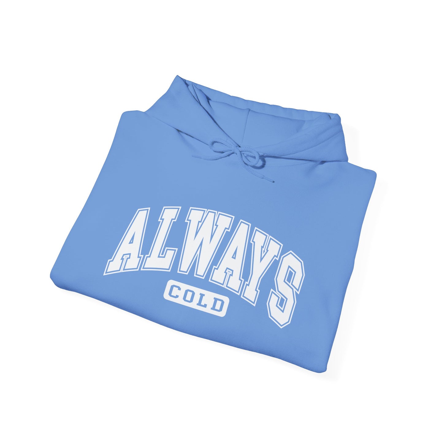 Always Cold Hoodie, Winter Sweatshirt, Cozy Pullover, Warm Jumper, Gift for Cold People, Comfy Outerwear
