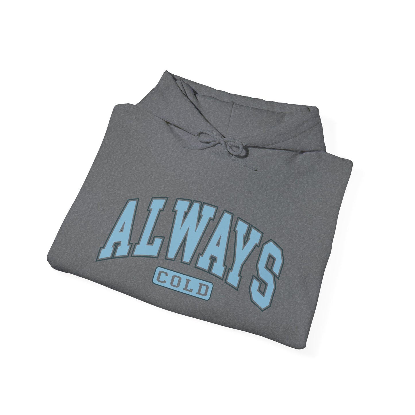 Always Cold Hoodie, Winter Sweatshirt, Cozy Pullover, Warm Jumper, Gift for Cold People, Comfy Outerwear