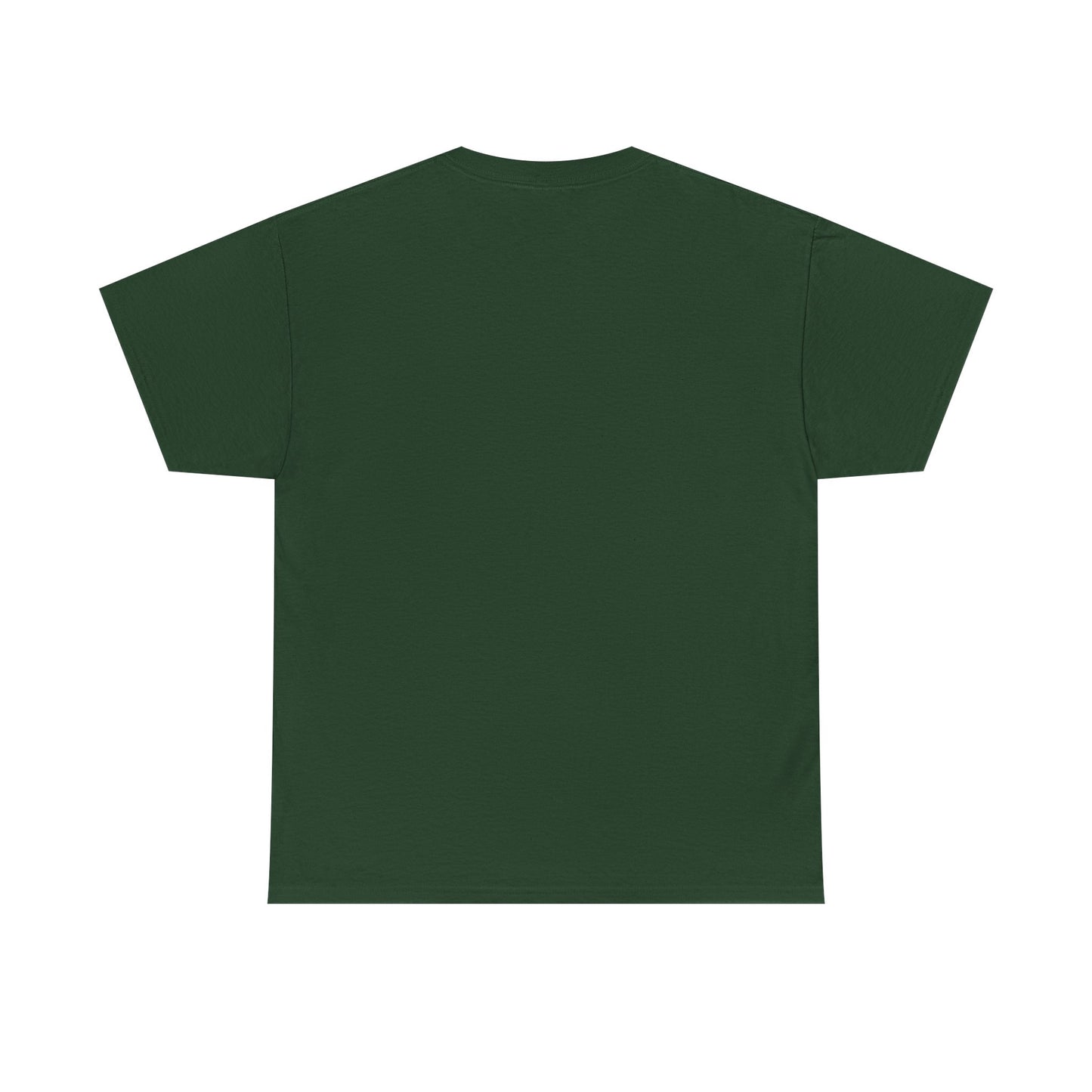Boston Ruins Fallout 4 Tee, Unisex T-Shirt, Gamer Shirt, Fallout Fan Gift, Video Game Apparel, Geek Clothing, Post-Apocalyptic Tee
