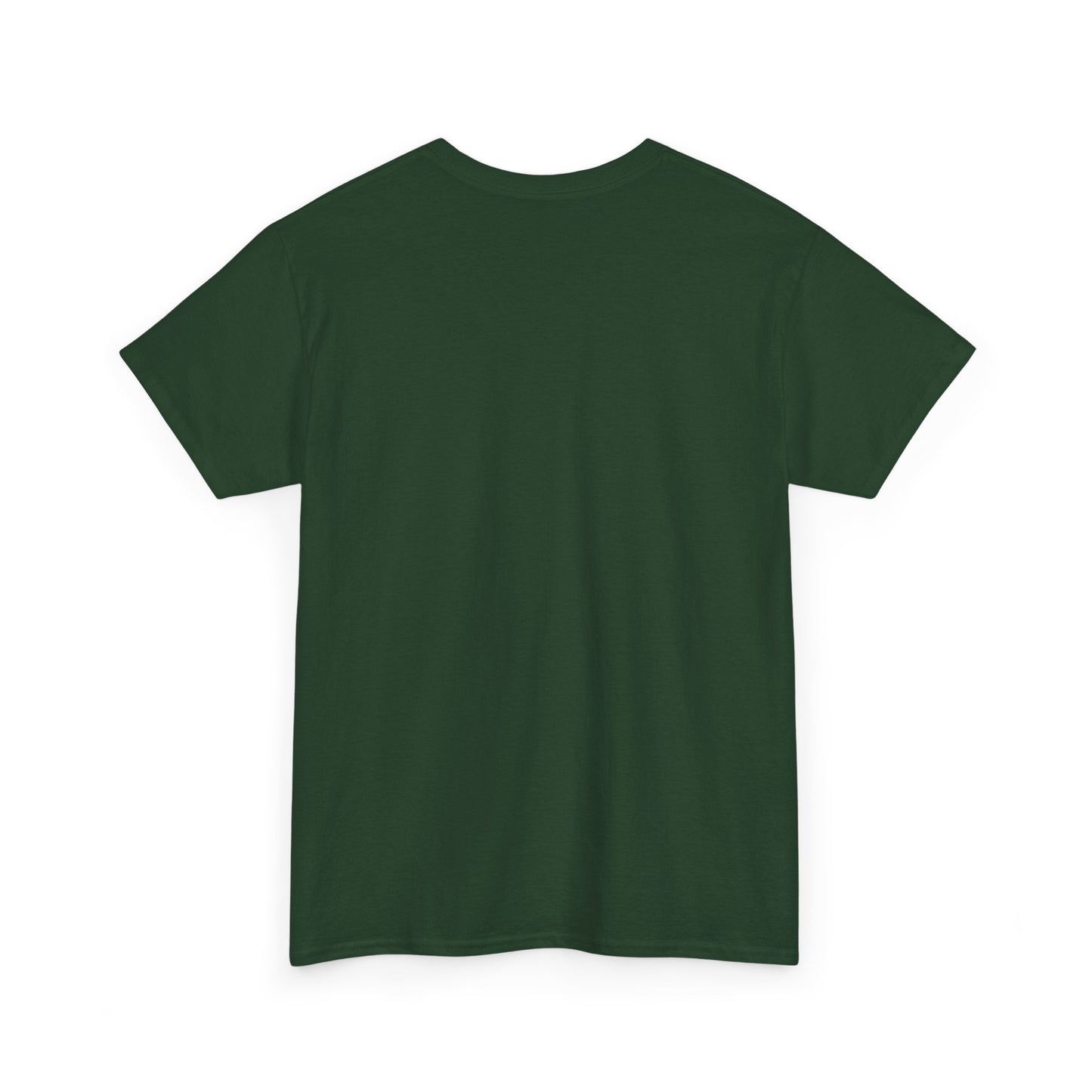 Boston Ruins Fallout 4 Tee, Unisex T-Shirt, Gamer Shirt, Fallout Fan Gift, Video Game Apparel, Geek Clothing, Post-Apocalyptic Tee